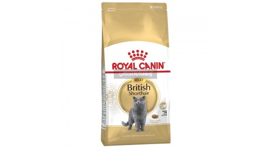Royal Canin British Shorthair Yetişkin 2 Kg