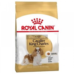 Royal Canin Cavalier King Charles Köpek Maması 3 Kg