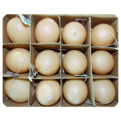 Eastland Plastik Yumurta Oyuncağı 12#039;Li 5 Cm