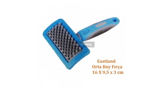 Eastland Fırça Orta Boy 16x9.5x3 Cm